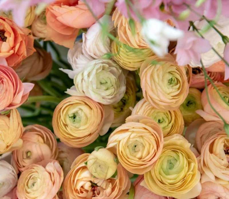 一场以花为主元素的会议活动解锁了女性的梦想事业 - 第14张