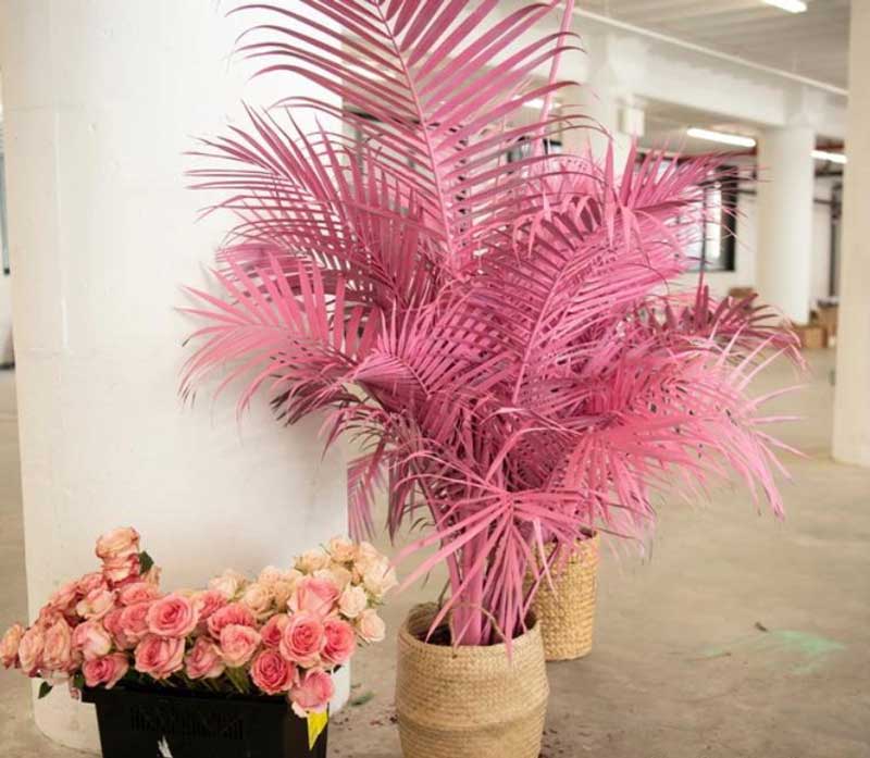 一场以花为主元素的会议活动解锁了女性的梦想事业 - 第31张