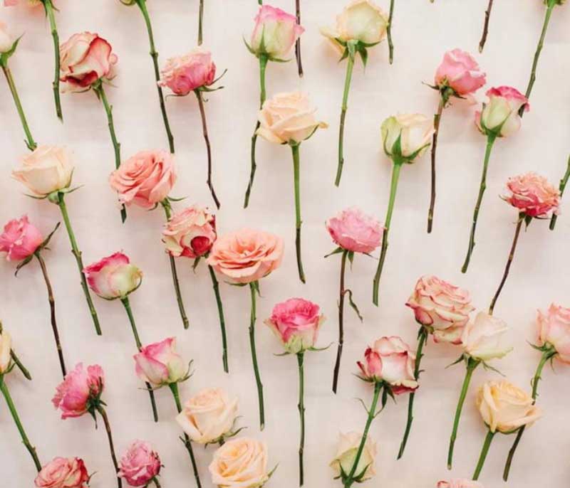 一场以花为主元素的会议活动解锁了女性的梦想事业 - 第32张