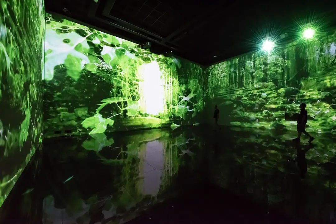 数字艺术中心的这些沉浸式艺术展览活动策划太神了 - 第38张 - 会展活动策划CCASY.COM 数字艺术中心的这些沉浸式艺术展览活动策划太神了 - 第38张