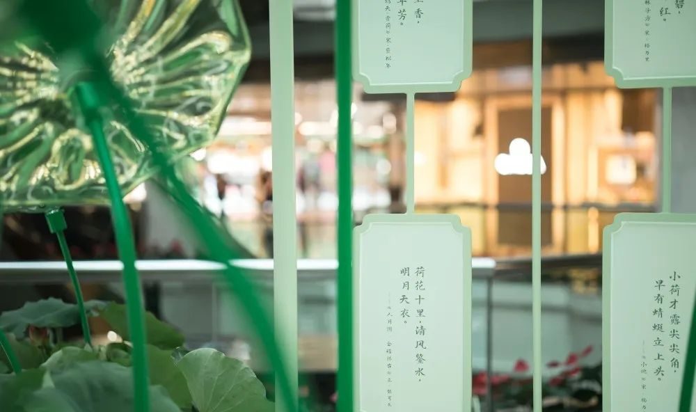 广州天河城26周年全真荷花主题展览活动策划打造了一片新奇的消暑之地