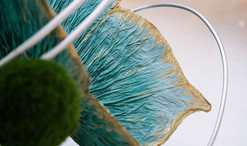 漫步蝶变新·生艺术展览活动策划中，如置身春日花园 - 第14张