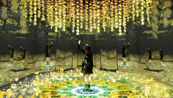 2020漫天樱花主题会展活动将再度刷爆朋友圈，打卡必备点