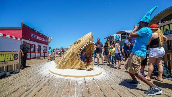 探索频道「鲨鱼周」30周年的推广活动策划了一场鲨鱼艺术装置