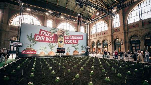 丹纳超市的「抓到金胡萝卜」推广活动策划让参与者收割了一回胡萝卜